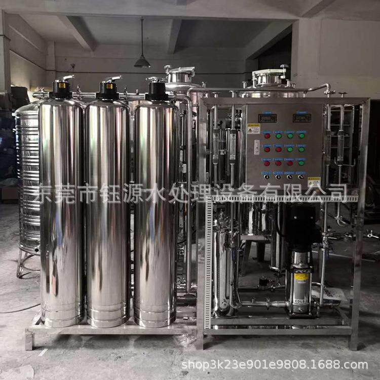 水处理设备厂家直供纯化水医药纯化水0.5吨二级反渗透纯化水系统