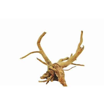出口窈窕木driftwood栖根小沉木漂流木空气凤梨鱼缸造景杜鹃根