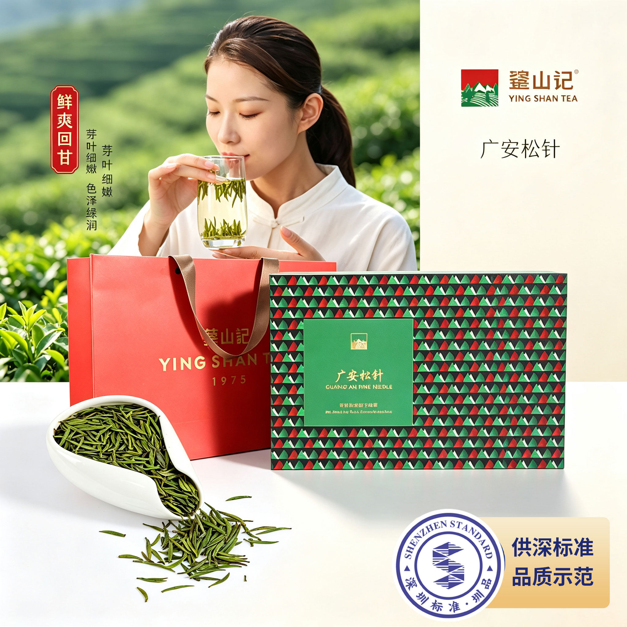 【圳品认定】松针绿茶礼盒装鲜爽回甘芽叶细嫩茶叶特色产区茶针