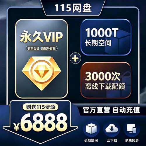 115永久会员+1PB空间无过户费