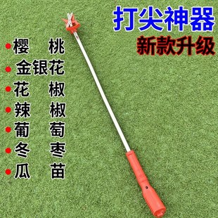 新型打尖神器配件金银花椒葡萄冬枣掐头芽顶豆角果树专用型机