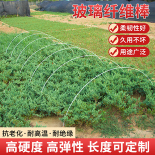 拱棚支架蔬菜暖温室用大棚架子骨架杆玻璃纤维小支架菜棚拱形使用
