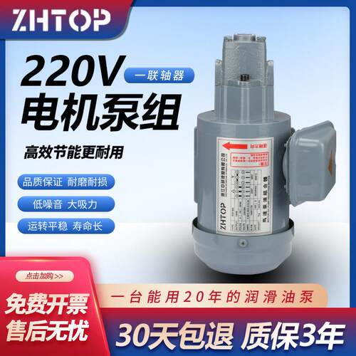 液压齿轮润滑泵TOP-10A11A12A1A电动机三角泵220V摆线泵油泵电机