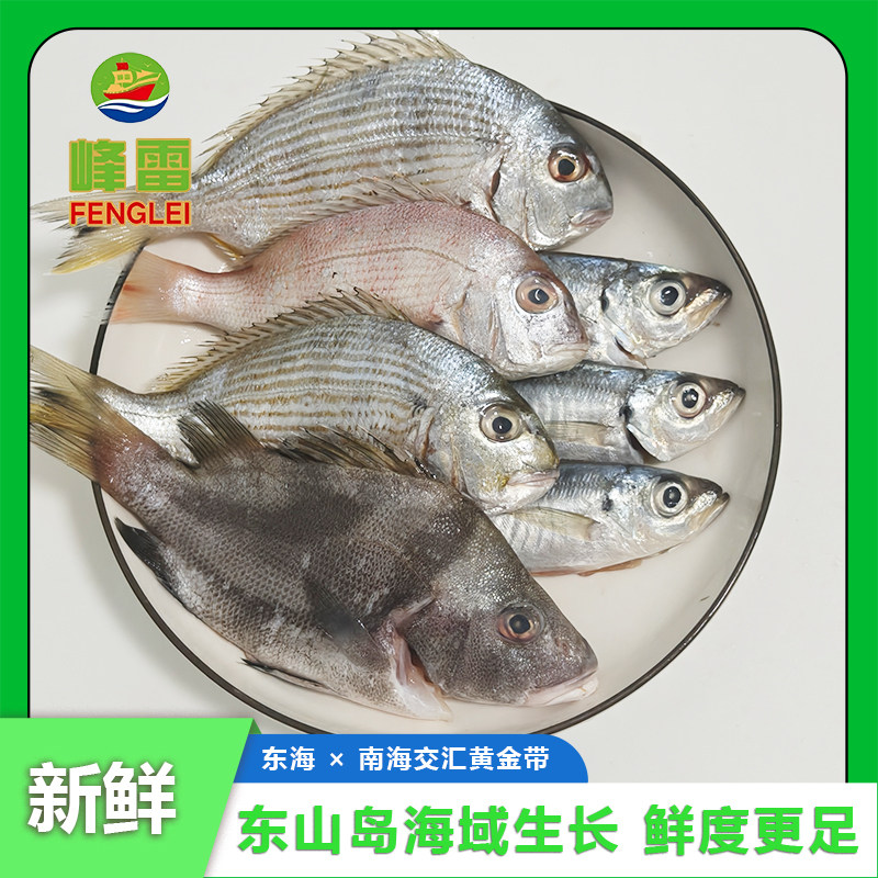 【野生海捕】新鲜海杂鱼批发深海鱼冷冻整箱黄立鱼巴浪鱼海鳗鱼