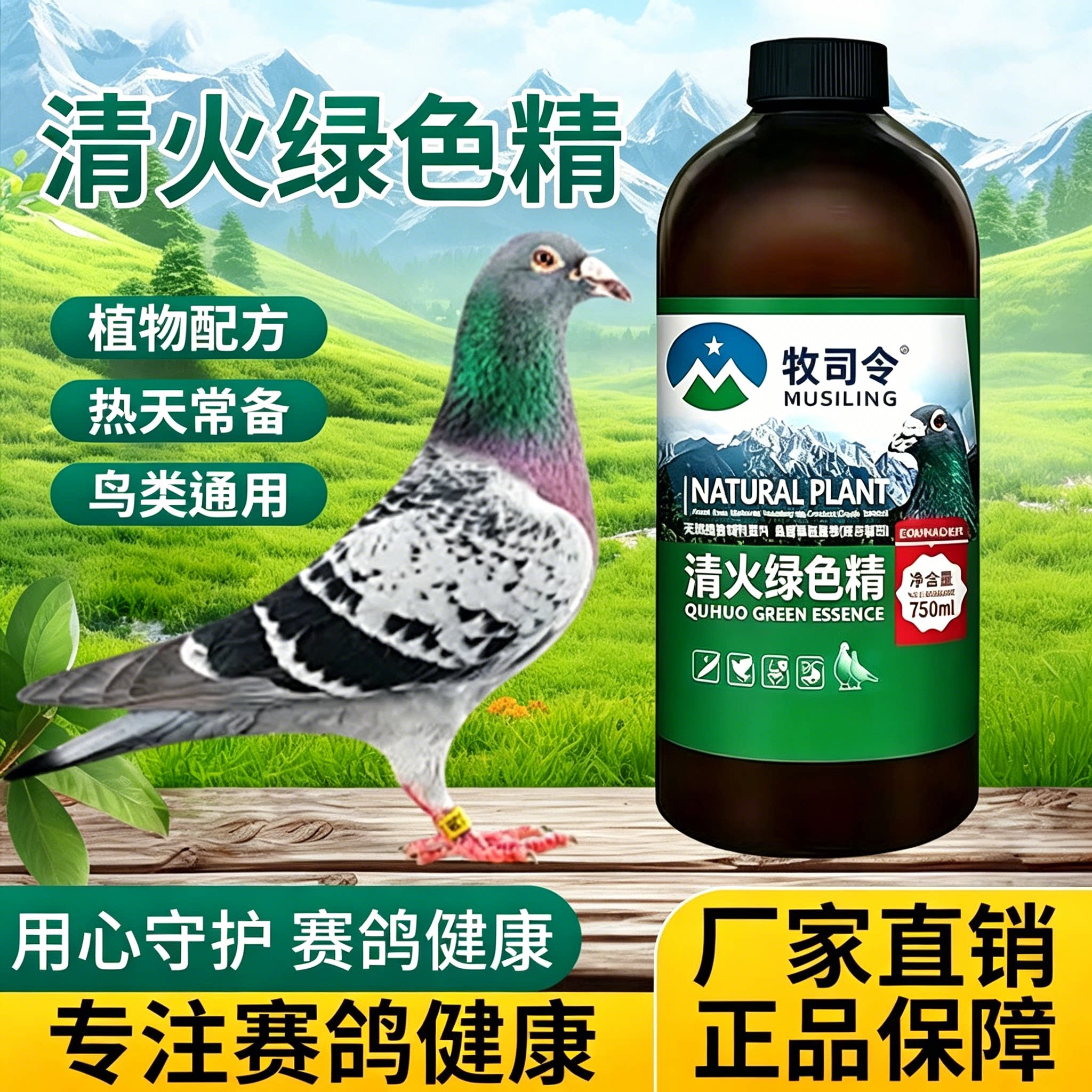 祛火绿色精1000ml信赛鸽子夏季清热解暑降火防中暑清火保健