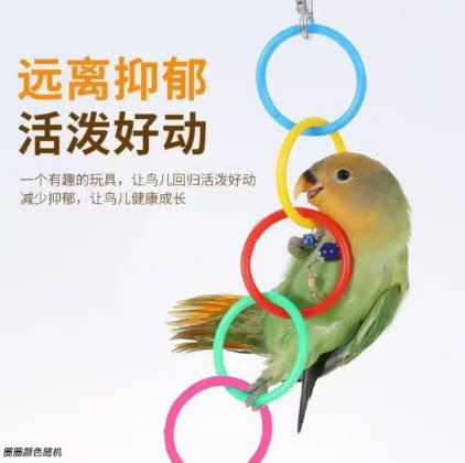 鹦鹉七彩吊环攀爬架鸟笼配件