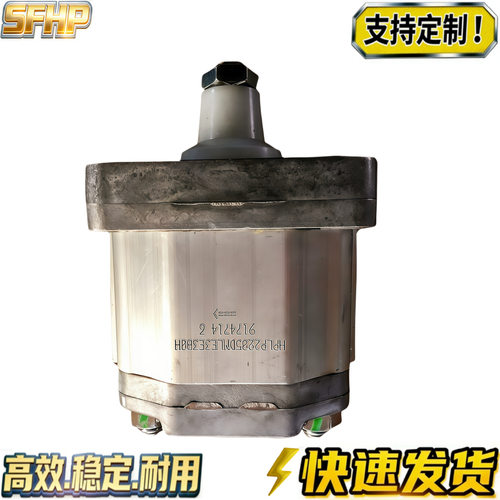 SFHP适用BONDIOLI齿轮泵HPLPA 160 331 136 206 208 214 DDDG替代