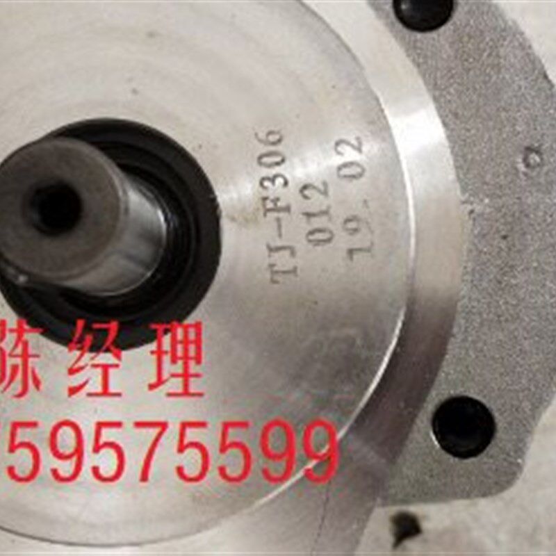 TJ-F306 耐德垃圾车齿轮泵 原装正品天津天机液压有限公司