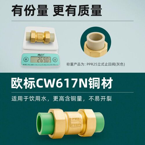 PPR双活接止回阀全铜立式水管单向阀20管水表单向逆止阀25热熔管