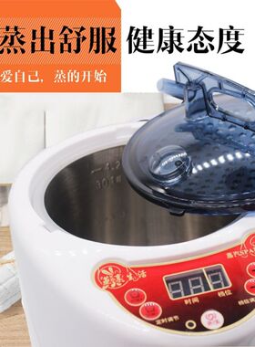中药熏蒸机家用汗蒸机汗蒸箱蒸汽机蒸汽熏蒸仪全身桑拿浴箱熏蒸锅