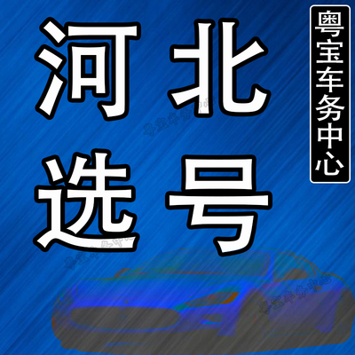 石家庄唐山邯郸12123新能源汽车上牌预选号自编选车牌占用查询