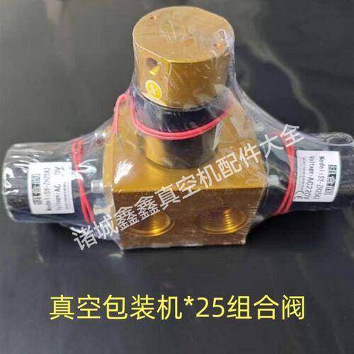 真空包装机SY-ZH25A2组合阀电磁阀诸城包装机封口机双室摆盖小康