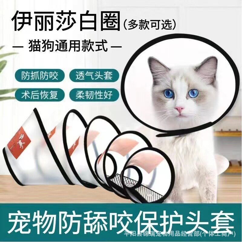 伊丽莎白猫圈 猫咪狗狗透明手术项圈脖套幼猫套头罩绝育防咬防舔