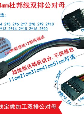 新品杜邦线2.54彩排线双排双头公对母6P8P10P12P14P16P18P20P24P