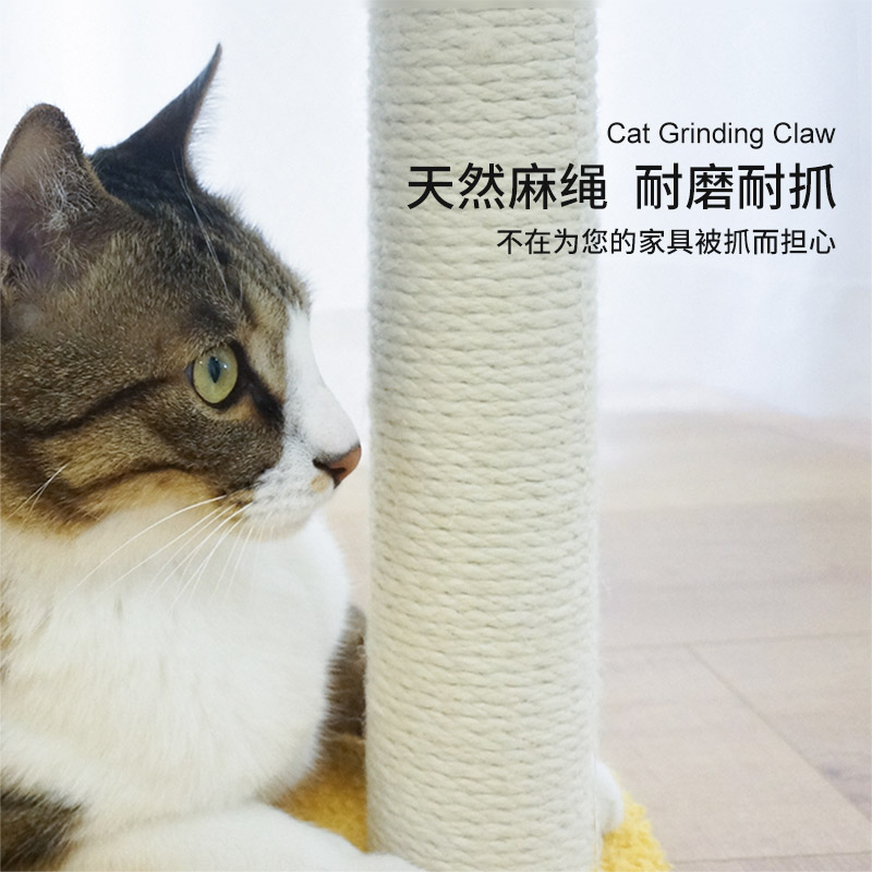 小鸡猫爬架小型猫架子可拆洗猫窝猫树一体幼猫咪玩具猫抓板猫跳台
