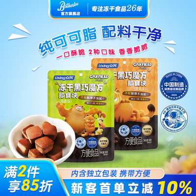 Botherless 立兴冻干黑巧魔方即食块腰果燕麦味90g内含50小包左右