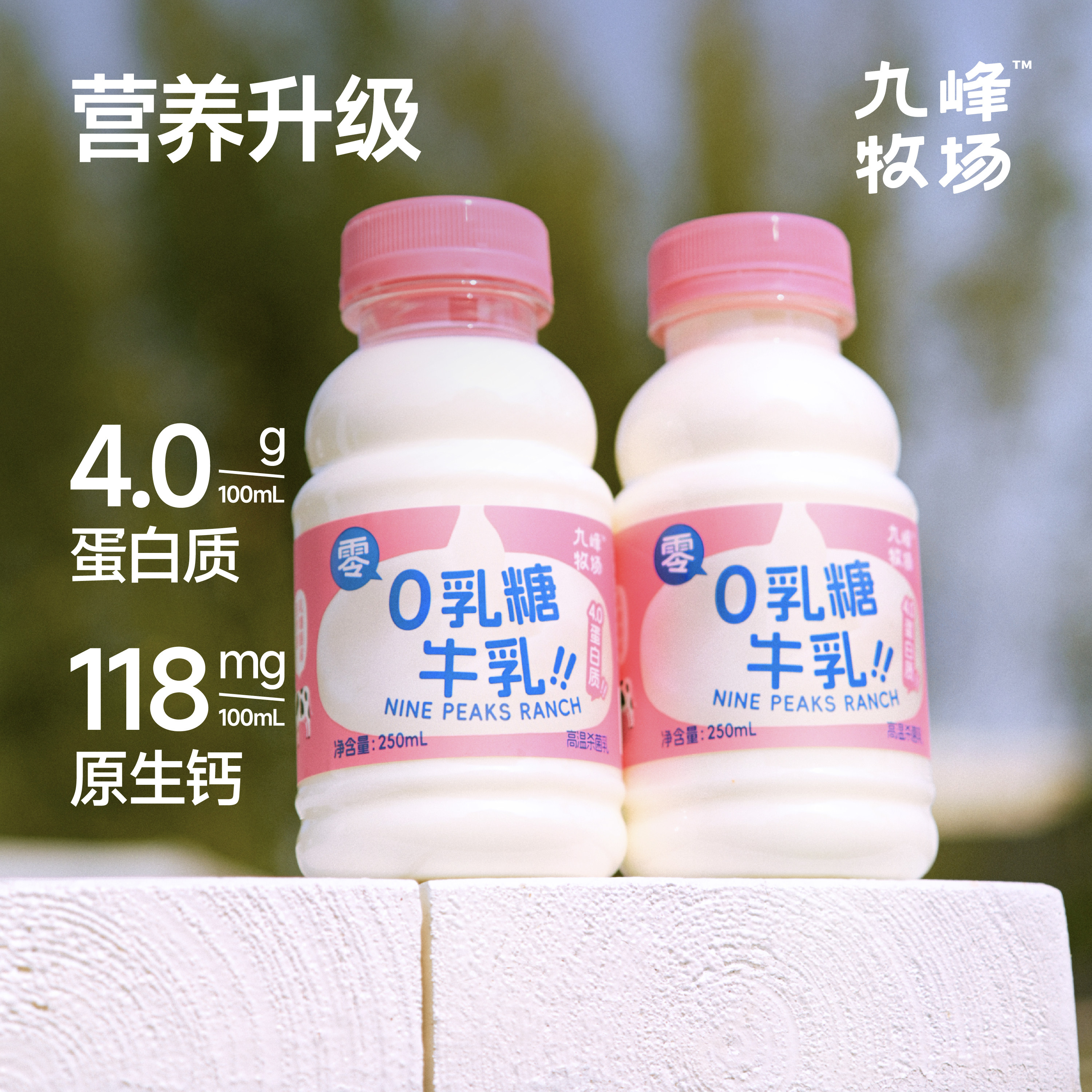 九峰牧场新品0乳糖牛乳4.0g蛋白250ml亲和吸收儿童成人冷藏牛奶