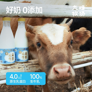 九峰牧场云朵牛乳4.0g蛋白非均质100%生牛乳A2奶低温早餐全脂奶