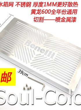 黄龙TNT/BJ/BN300/600 蓝宝龙BN302S 改装水箱网保护Z罩黑色 银色