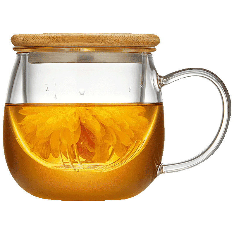 玻璃杯带把手茶水分离耐高温高硼硅家用新款喝水带盖办公泡花茶杯