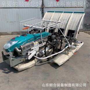 手扶式稻秧VMW秧机6行秧苗水种植机插移动灵活汽油款水稻插机
