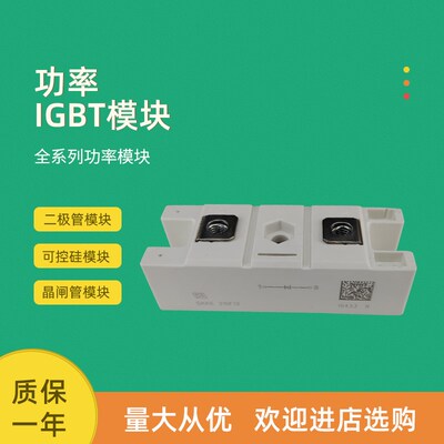二极管模块全新SKKE380/SKKE600/SKKE1200/12 16 18H4 20H4 22H4