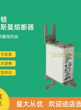 全新快速熔断器保险170M1485 170M1487 170M1488 170M1508