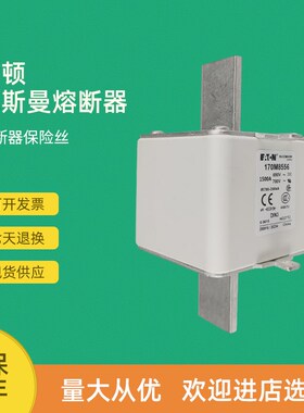 全新快速熔断器保险170M8557 170M8554D 170M8555D 170M8556D