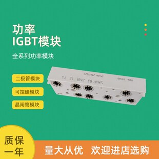 功率IGBT模块SKiiP81AHB15T10 SKiiP81AN15T10 SKiiP81ANB15T1