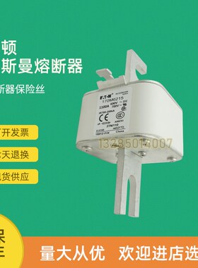 全新快速熔断器保险170M6219 170M6220 170M6221 170M6229