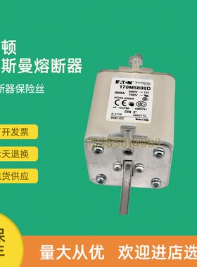 全新快速熔断器保险170M5874 170M5875 170M5876 170M5881