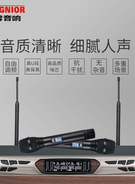 SEIGNIOR/君 AK-828 无线话筒一拖二U段家用K歌KTV会议舞台麦克风