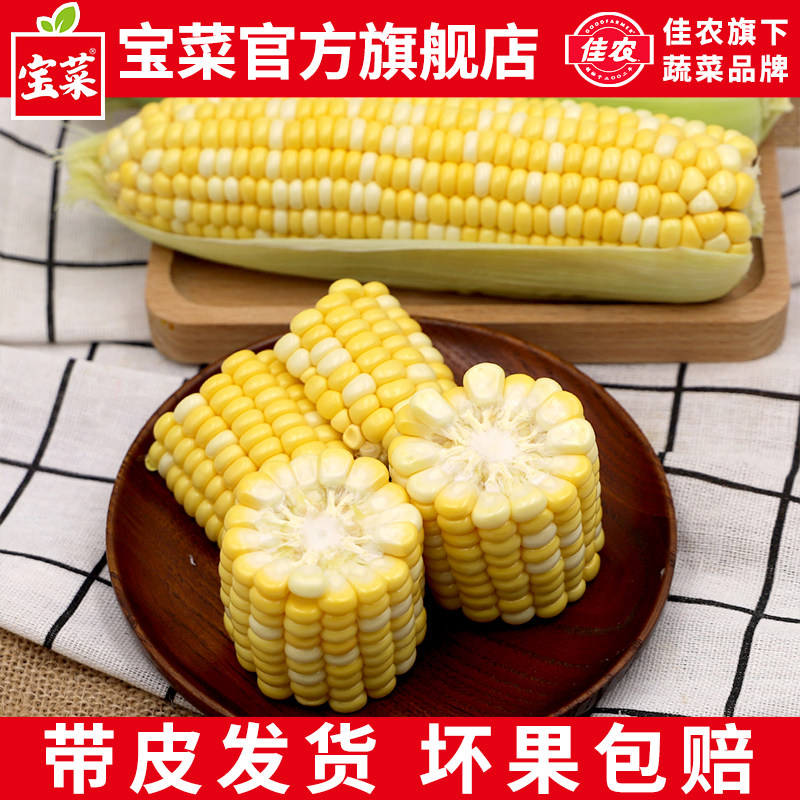 佳农宝菜库普拉金银玉米带皮新鲜生吃水果玉米生鲜甜嫩玉米粒生的