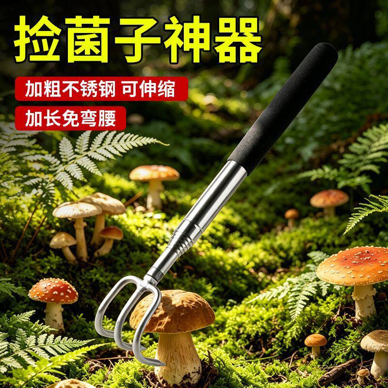 【下单立减50】长柄赶海神器伸缩捡菌子小耙子拾菌找拾野生蘑菇WH