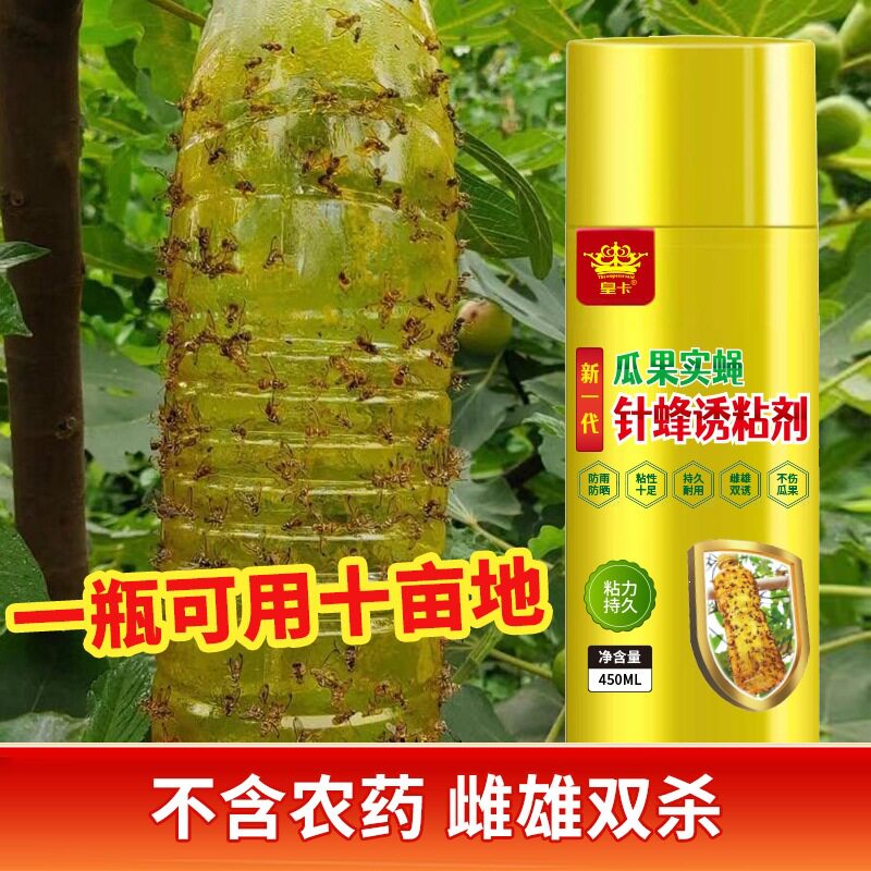 【下单立减50】果实蝇诱粘剂 灭果蝇神器昆虫诱捕器针蜂_WH
