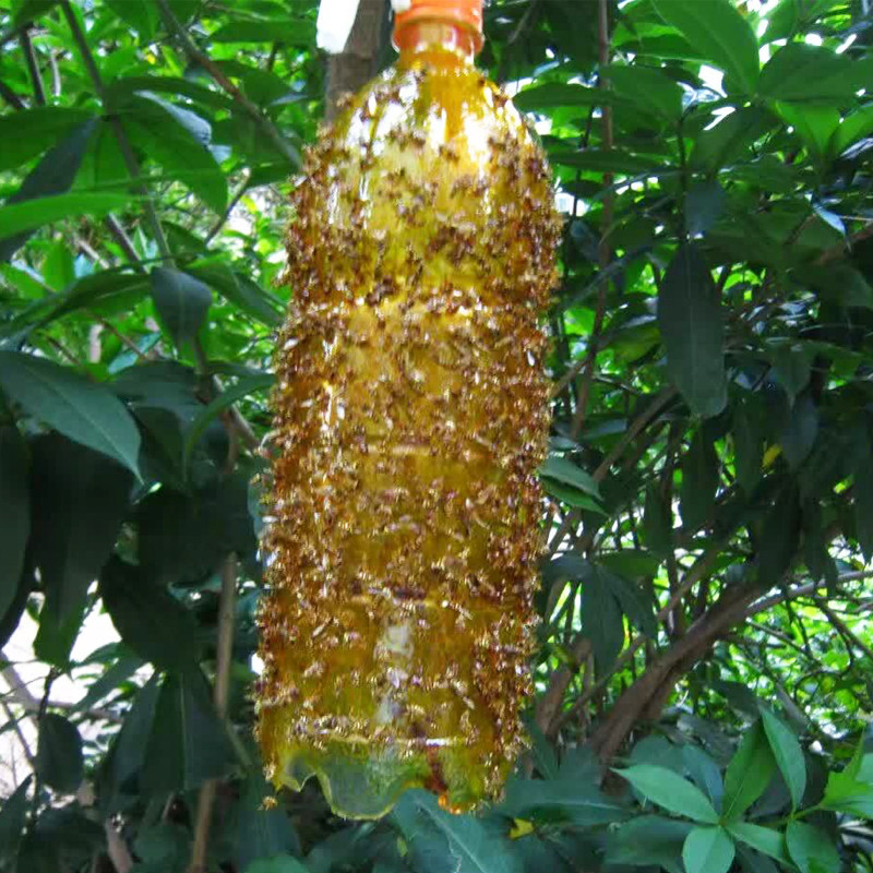 瑞丰黏王450毫升昆虫物理诱黏剂 天然胶粘剂防治柑橘针蜂与实蝇