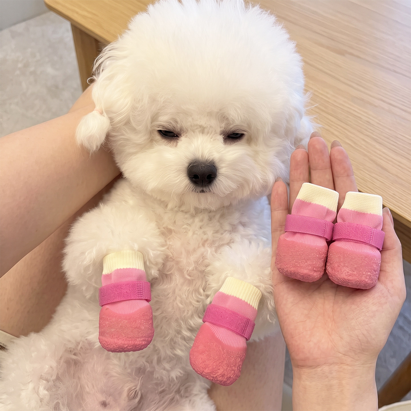小狗狗鞋子宠物脚套耐磨软底甩不掉中小型犬猫咪袜子户外防脏防水