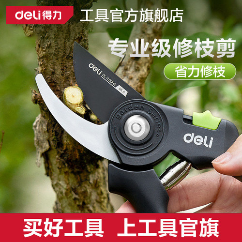 得力工具剪枝修枝剪刀果树园林园艺剪修剪树枝花艺剪省力大粗枝剪