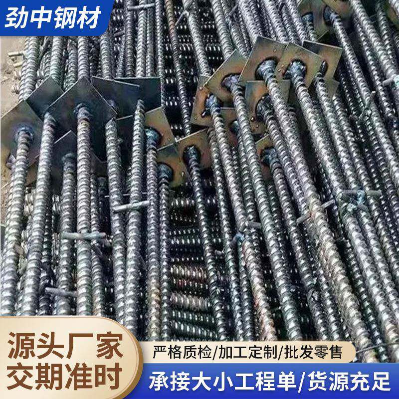工厂止水螺杆穿墙对拉螺栓建筑模板通丝防水丝杆止水钢板