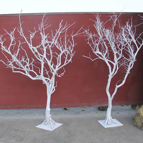 天然干树枯树装摆饰树干许造型00506树婚礼道具枝白树枝仿真愿树