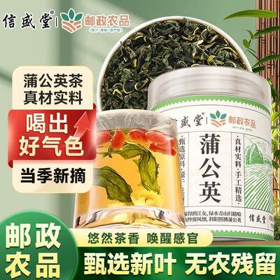 信盛堂邮政农品蒲公英茶30g正品花草茶免洗婆婆丁