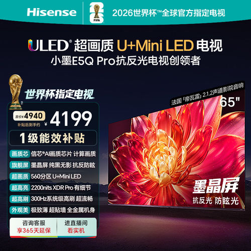 海信小墨E5QPro65英寸