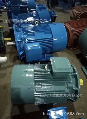 山东西玛文宝YC电机YL/YC355M-6-160电动机接电源进行空载试运行