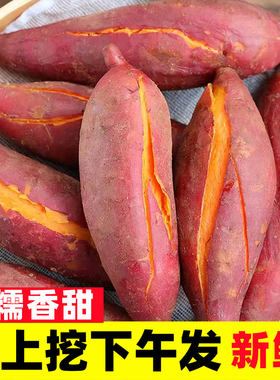福建漳州新鲜软糯香甜六鳌红薯