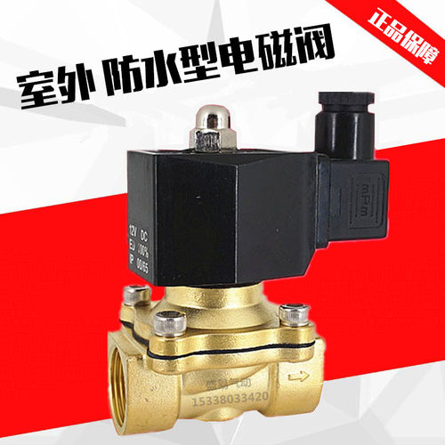 室外户外防水电磁阀水阀气阀2W160-15D控制阀DN15开关阀 220V 24V