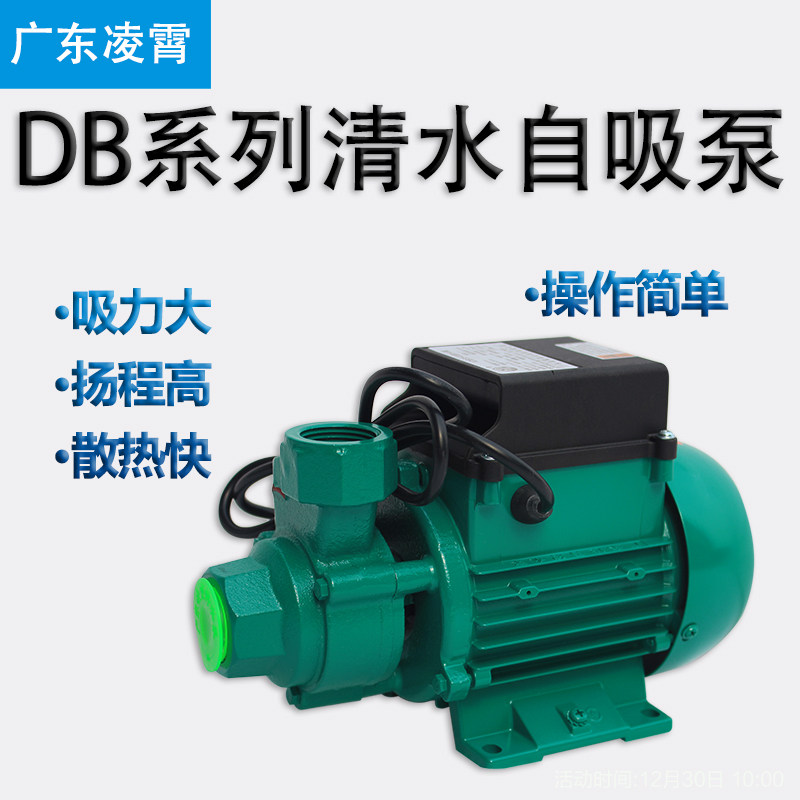 凌霄1DB-35/45/65抽水机清水泵循环泵加压泵增压泵家用泵旋涡泵