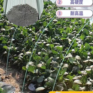 拱棚杆蔬菜支架育苗大小温棚杆保温弹力棒实心棒玻璃纤维纤维杆农