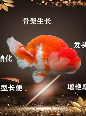 鱼食观赏金鱼锦鲤饲料海马小颗粒螺旋藻增色增体兰寿泰狮鱼粮下沉