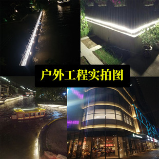 24V伏低压户外柔性灯带led亮化工程超高亮防水室外围墙灯安全电压
