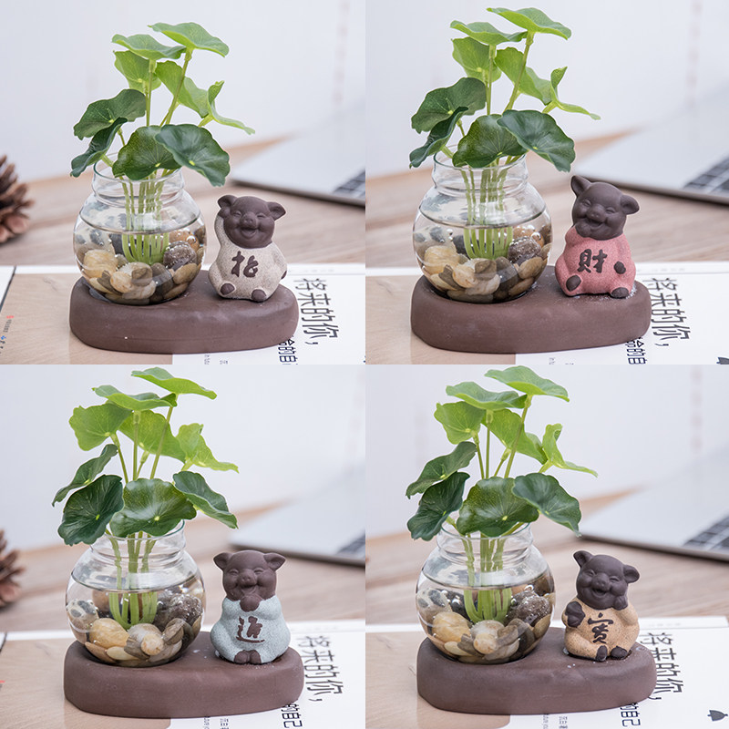 创意玻璃摆件迷你水养桌面小花皿客厅茶几绿萝富贵竹插瓶陶瓷容器